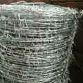 High Tensile Barbed Wire Dubbel Strand Typ
